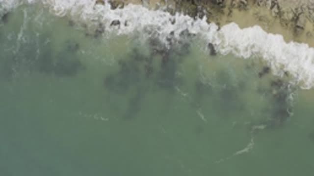 EAST CAPE BCS MEXICO-2017: Beautiful Green Shore Waves Hit The Sand With Intense