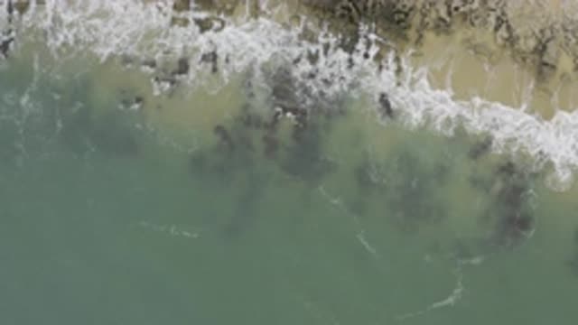 EAST CAPE BCS MEXICO-2017: Background Screen Showing A Beautiful Beach With Its