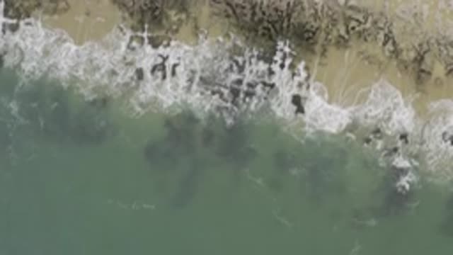 EAST CAPE BCS MEXICO-2017: Roaring Ocean Waves Crashing On The Sandy Shore On A