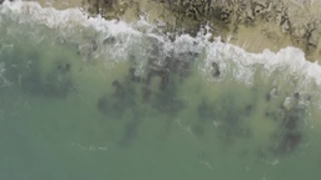 EAST CAPE BCS MEXICO-2017: View From High Above Shore as Waves Roll In