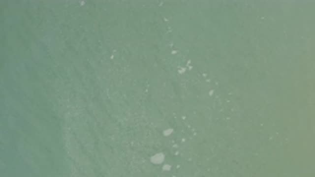 EAST CAPE BCS MEXICO-2017: Small White Objects Floating In Blue-Green Water