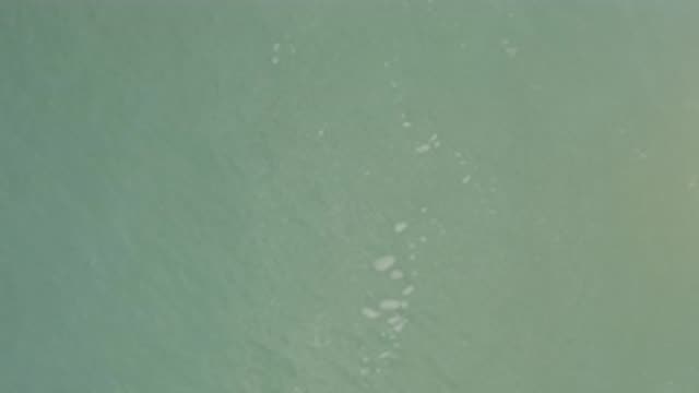 EAST CAPE BCS MEXICO-2017: Small White Objects Floating In Blue-Green Water