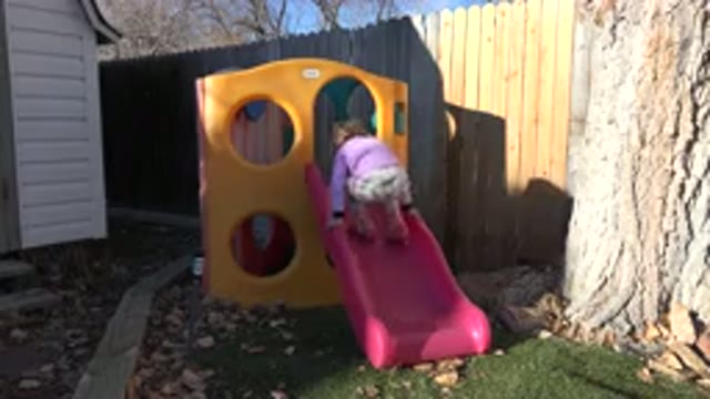 WESTMINSTER COLORADO-2019: Toddler Climbing Up A Slide