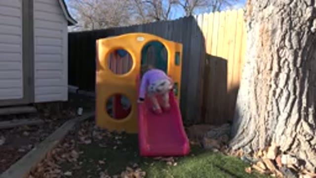 WESTMINSTER COLORADO-2019: Little Girl Playing at Her Backyard Playground