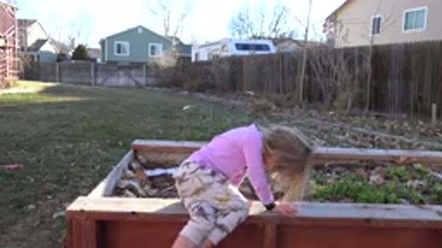 WESTMINSTER COLORADO-2019: Girl Plays in Yard with Box, Imagining Adventures in Grass
