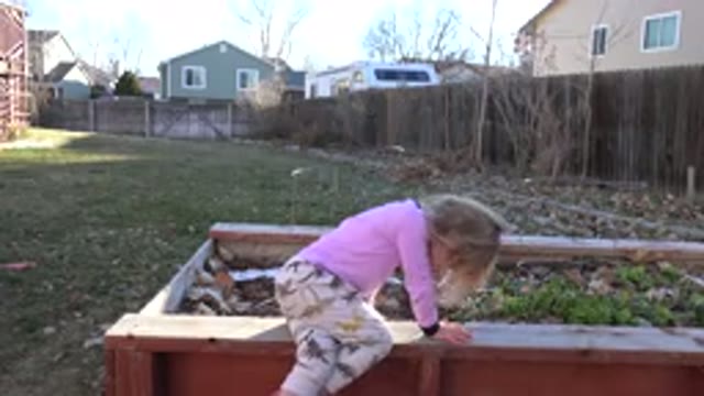 WESTMINSTER COLORADO-2019: Little Blond Girl Playing In The Grassy Yard With