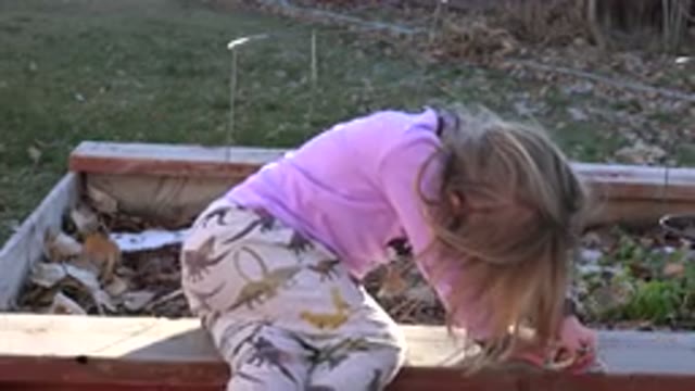 WESTMINSTER COLORADO-2019: Little Blonde Girl Explores Nature Searching to Play
