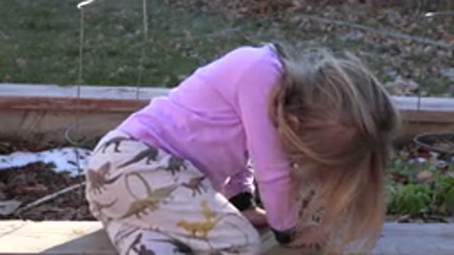 WESTMINSTER COLORADO-2019: Blond Girl Wearing Pink Playing in the Backyard