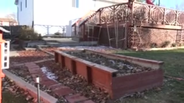 WESTMINSTER COLORADO-2019: The Video Shows A Big Dog Running In The Backyard Of