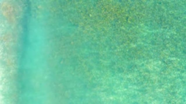 PLAYA ACAPULQUITO LOS CABOS BCS MEXICO-2021: Clear Turquoise Water with Moving Underwater Vegetation