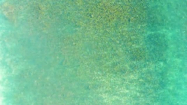 PLAYA ACAPULQUITO LOS CABOS BCS MEXICO-2021: Clear Turquoise Water with Underwater Vegetation and Moving Shadow
