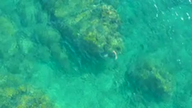 PLAYA ACAPULQUITO LOS CABOS BCS MEXICO-2021: Clear Turquoise Water Over Rocky Seabed with Small Fish