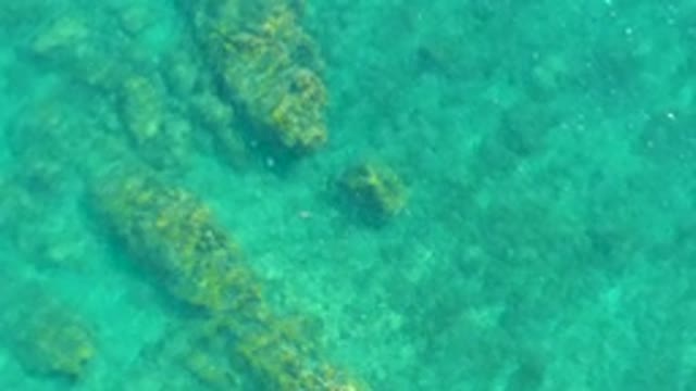PLAYA ACAPULQUITO LOS CABOS BCS MEXICO-2021: Overhead View of Rocky Seabed in Clear Turquoise Water
