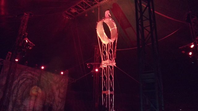 SAN JOSE DEL CABO BCS MEXICO-2022: Glowing Ring Stage Prop with Attached Ladder
