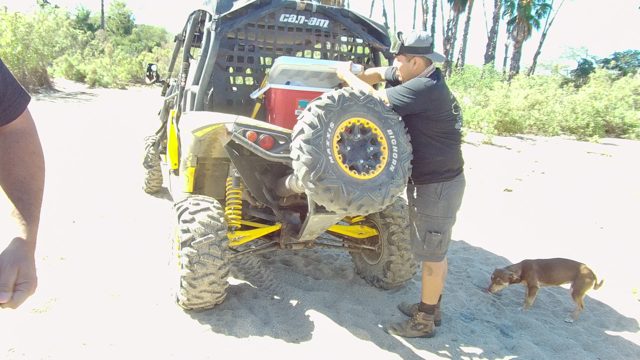 LOS CABOS BCS MEXICO-2022: Man Adjusting Off-road Vehicle with Dog