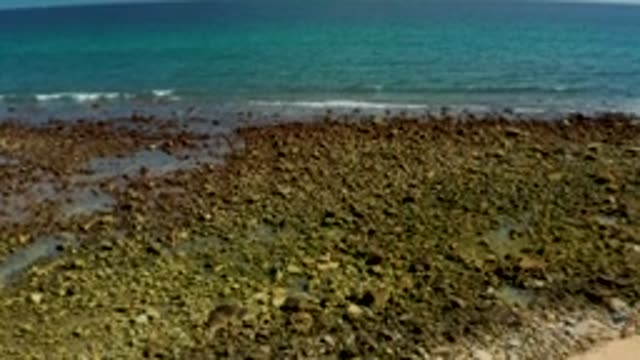 EL TULE LOS CABOS BCS MEXICO-2022: Tide Advancing on Rocky Shore with Green Algae