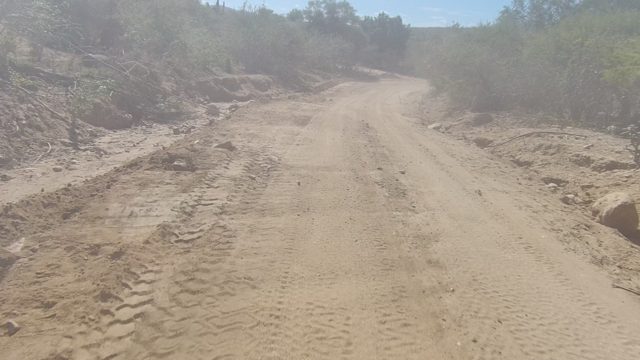 LOS CABOS BCS MEXICO-2022: Dirt Road Winding Through Arid Bushland
