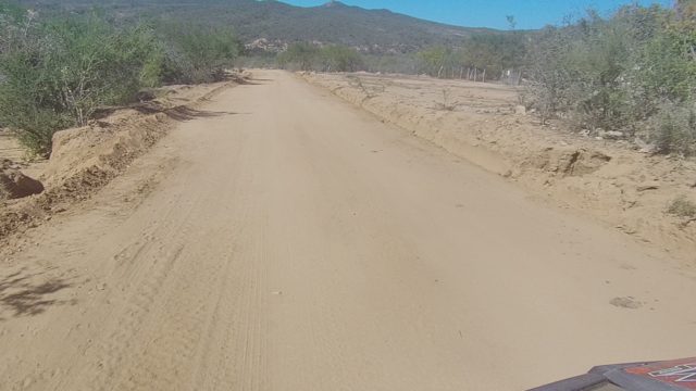 LOS CABOS BCS MEXICO-2022: Sandy Dirt Road Through Arid, Bushy Landscape