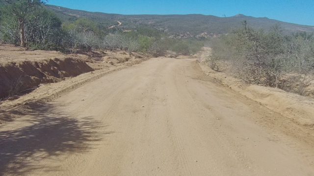 LOS CABOS BCS MEXICO-2022: Dirt Road Through Arid Landscape With Sparse Trees