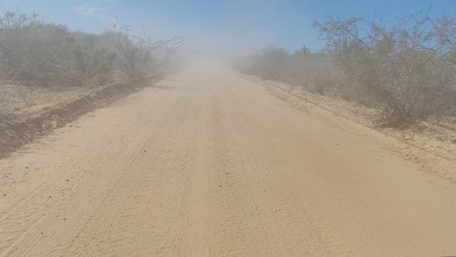 LOS CABOS BCS MEXICO-2022: Dusty Desert Road with Sparse Vegetation and Tire Tracks