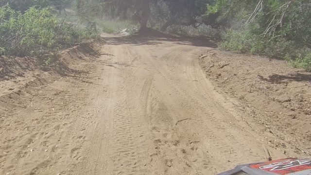 LOS CABOS BCS MEXICO-2022: Off-Road Vehicle Navigating Forested Dirt Path