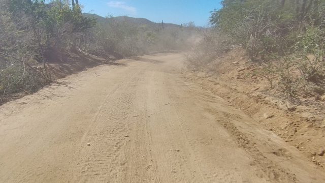 LOS CABOS BCS MEXICO-2022: Dusty Dirt Road Through Arid Bushland
