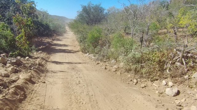 LOS CABOS BCS MEXICO-2022: Vehicle Traveling on a Sandy Dirt Road Through Arid Bushes