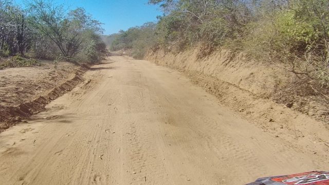 LOS CABOS BCS MEXICO-2022: Sandy Dirt Road Journey Through Arid Bushland