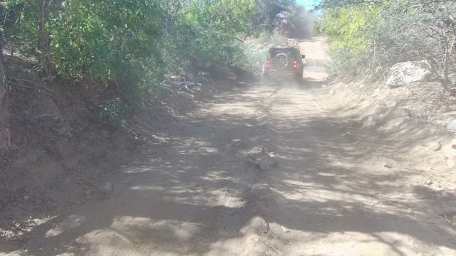 LOS CABOS BCS MEXICO-2022: SUV Driving on a Narrow Forest Dirt Road