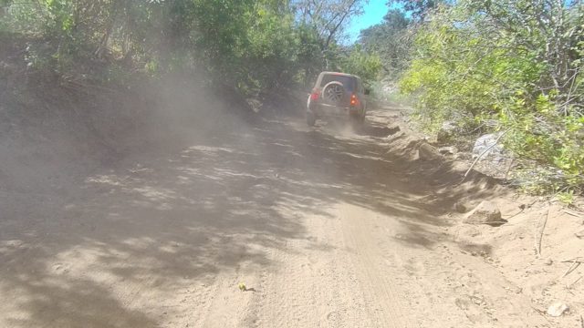 LOS CABOS BCS MEXICO-2022: SUV Traveling on a Dusty Forest Path