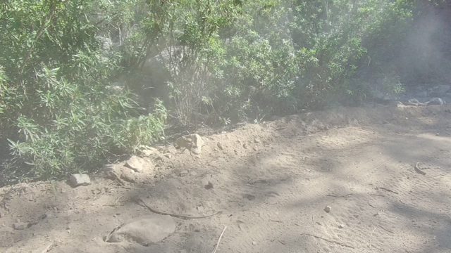 LOS CABOS BCS MEXICO-2022: Dirt Road with Shifting Vegetation and Rock Formations