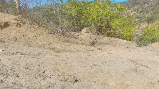 LOS CABOS BCS MEXICO-2022: Dirt Road Through Arid Hills with Green Shrubs