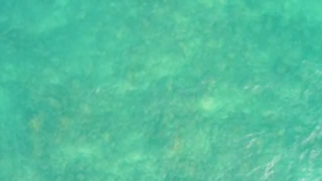 EL TULE LOS CABOS BCS MEXICO-2022: Overhead View of Clear Turquoise Ocean Water with Underwater Features
