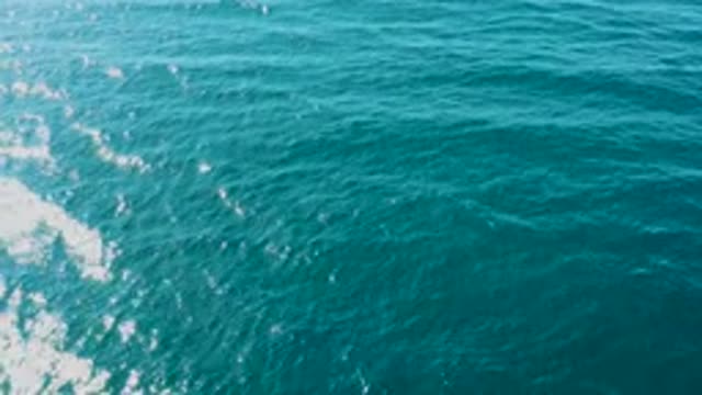 EL TULE LOS CABOS BCS MEXICO-2022: White Foam Trail Moving Across Turquoise Ocean Surface