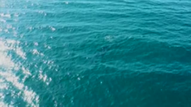 EL TULE LOS CABOS BCS MEXICO-2022: Ocean Wake Trailing Behind a Moving Vessel