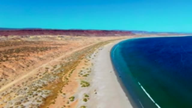 SAN JUANICO BCS MEXICO-2022: Bird Flying over Desert Beach and Ocean