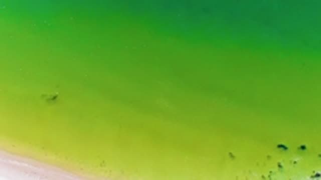 SAN JUANICO BCS MEXICO-2022: Sandy Shore with Green Water From Above