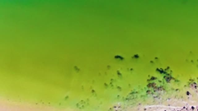 SAN JUANICO BCS MEXICO-2022: Shoreline Exposed As Green Water Recedes