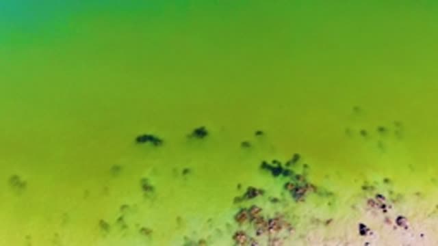 SAN JUANICO BCS MEXICO-2022: Aerial View of Green Water with Moving Debris