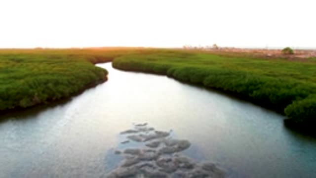 SAN CARLOS BCS MEXICO-2022: Mangrove-Flanked Waterway with Dissipating Debris