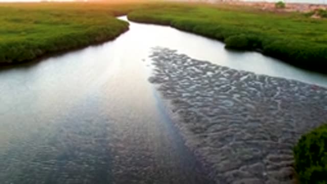 SAN CARLOS BCS MEXICO-2022: Muddy River Channel with Receding Water