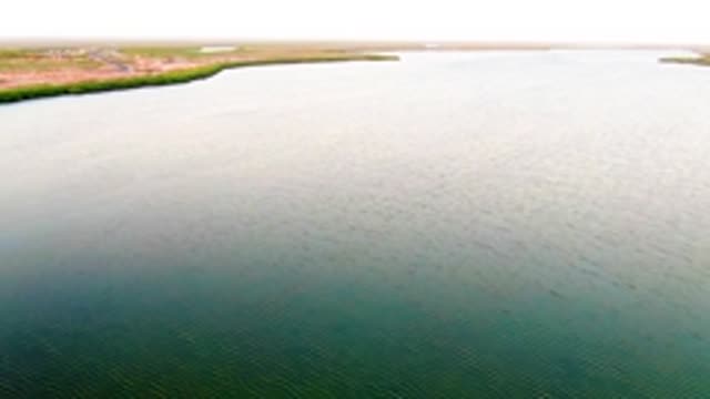 SAN CARLOS BCS MEXICO-2022: Aerial Pan of Reservoir Shoreline and Land