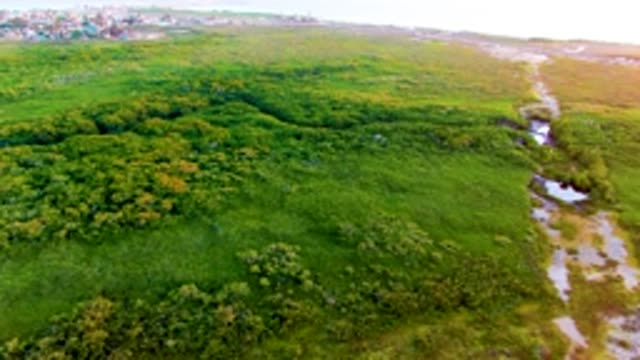 SAN CARLOS BCS MEXICO-2022: River Winding Through Lush Green Fields