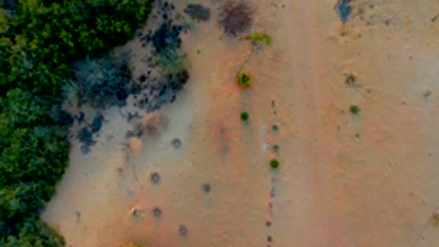 SAN CARLOS BCS MEXICO-2022: Aerial Flight Over Sandy Terrain with Sparse Vegetation