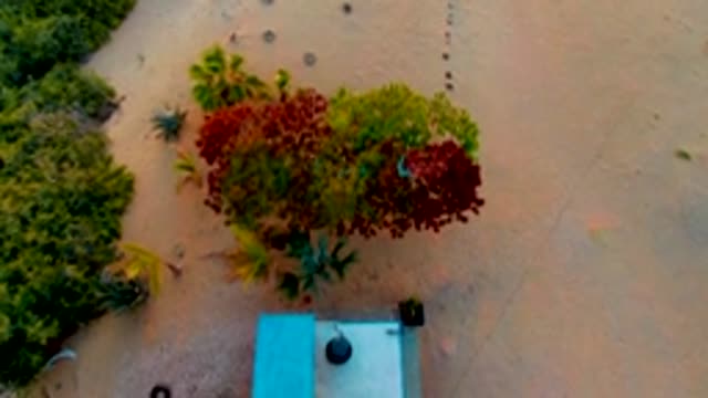 SAN CARLOS BCS MEXICO-2022: Aerial Ascent over Sandy Terrain with Scattered Trees