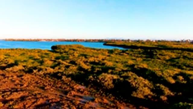 SAN CARLOS BCS MEXICO-2022: Autumn Forest and Lake From Above