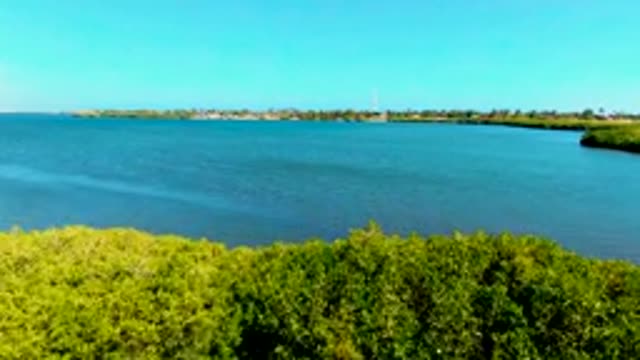 SAN CARLOS BCS MEXICO-2022: Mangroves and Calm Water Aerial View
