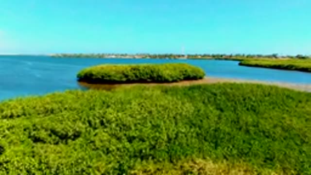 SAN CARLOS BCS MEXICO-2022: Aerial Approach to Small Mangrove Island in Shallow Water