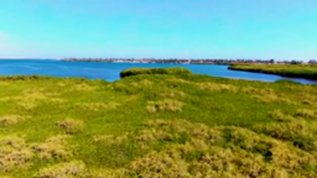 SAN CARLOS BCS MEXICO-2022: Mangrove Coastline and Calm Ocean Waters