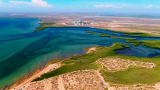 SAN CARLOS BCS MEXICO-2022: Coastal Shoreline with Person Moving on Beach